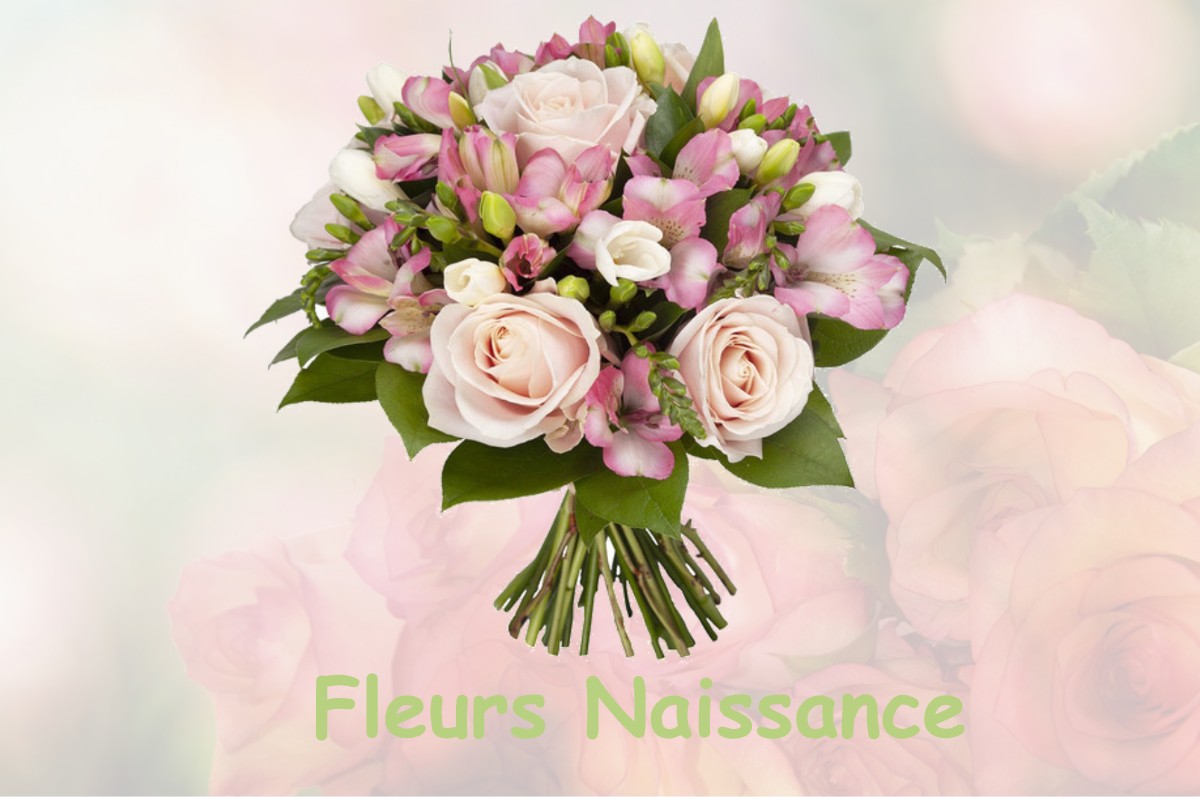 fleurs naissance NURIEUX-VOLOGNAT